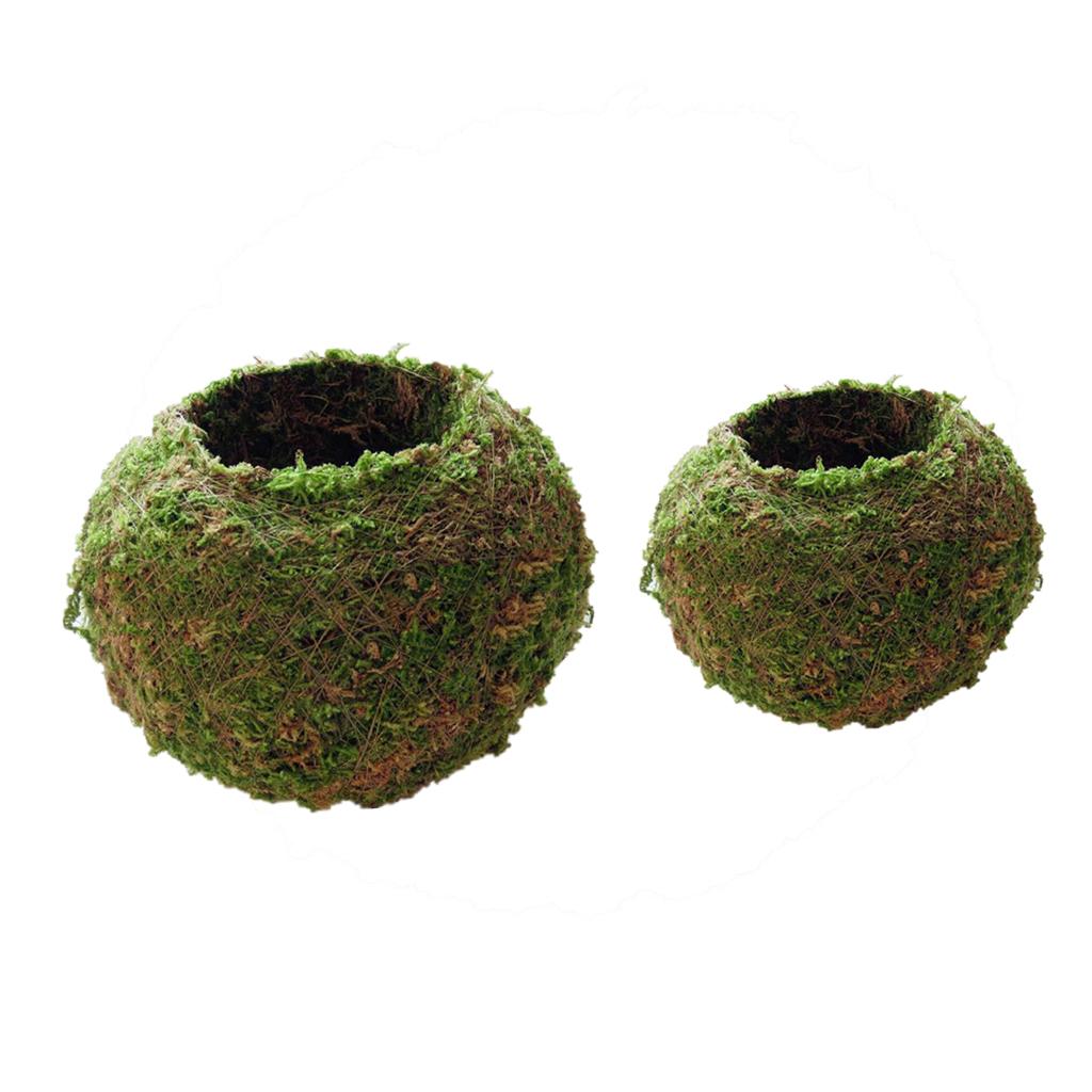 2Pc Creative Moss Ball Flower Pot Planter Bonsai Plant Holder Home 6cm& 12cm