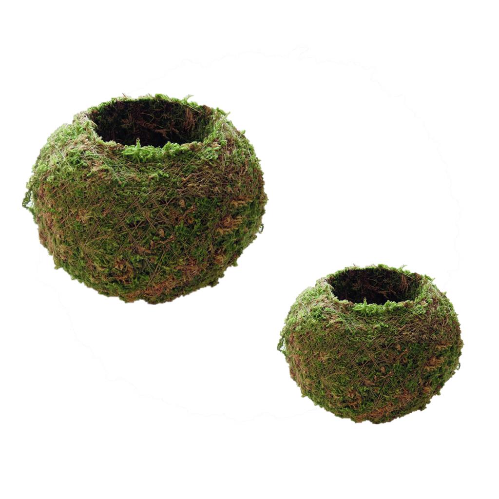 2Pc Creative Moss Ball Flower Pot Planter Bonsai Plant Holder Home 6cm& 12cm