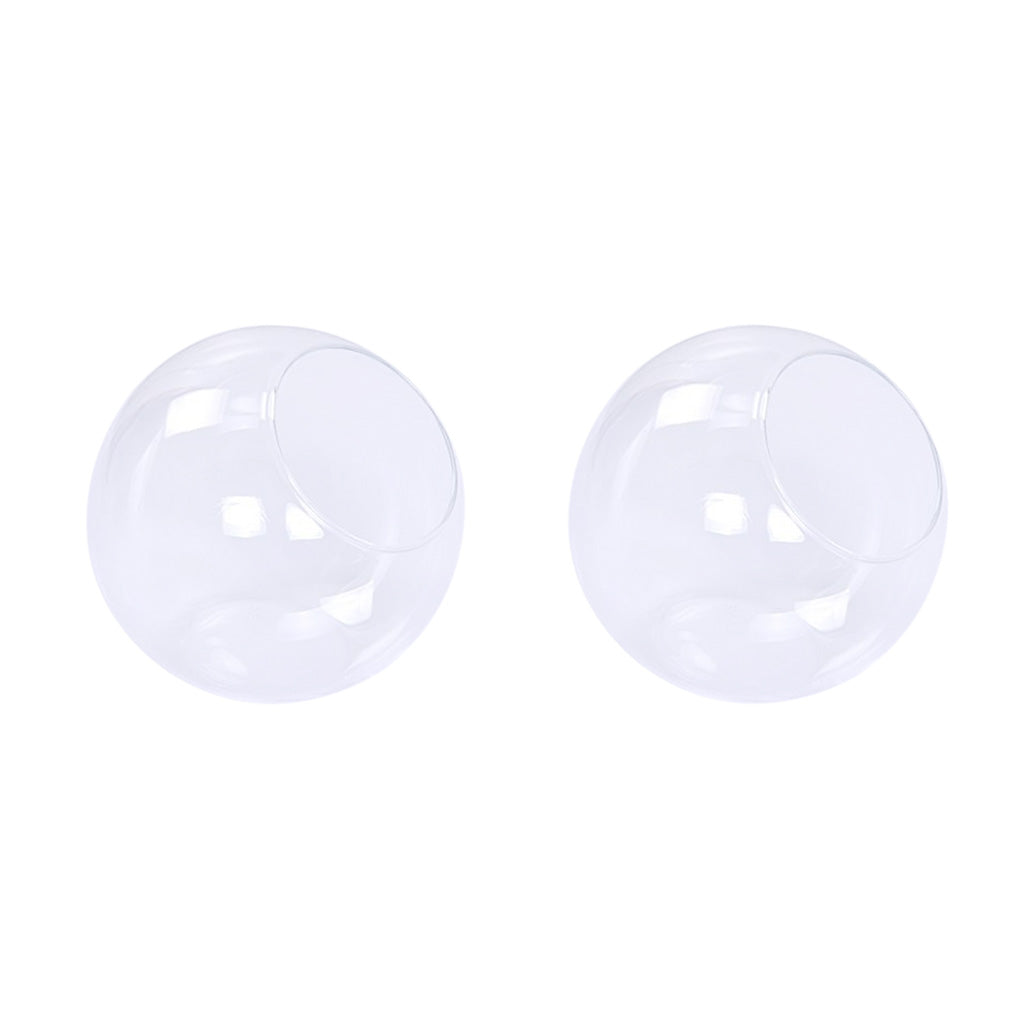 2pcs Glass Flower Vase Hydroponic Pot DIY Micro Landscape Terrarium Holder