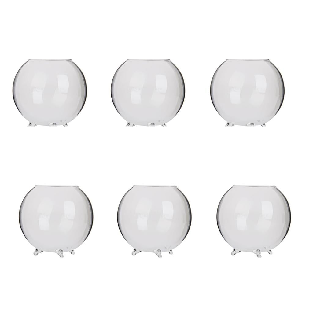 6x Glass Flower Vase Hydroponic Pot DIY Micro Landscape Terrarium Container