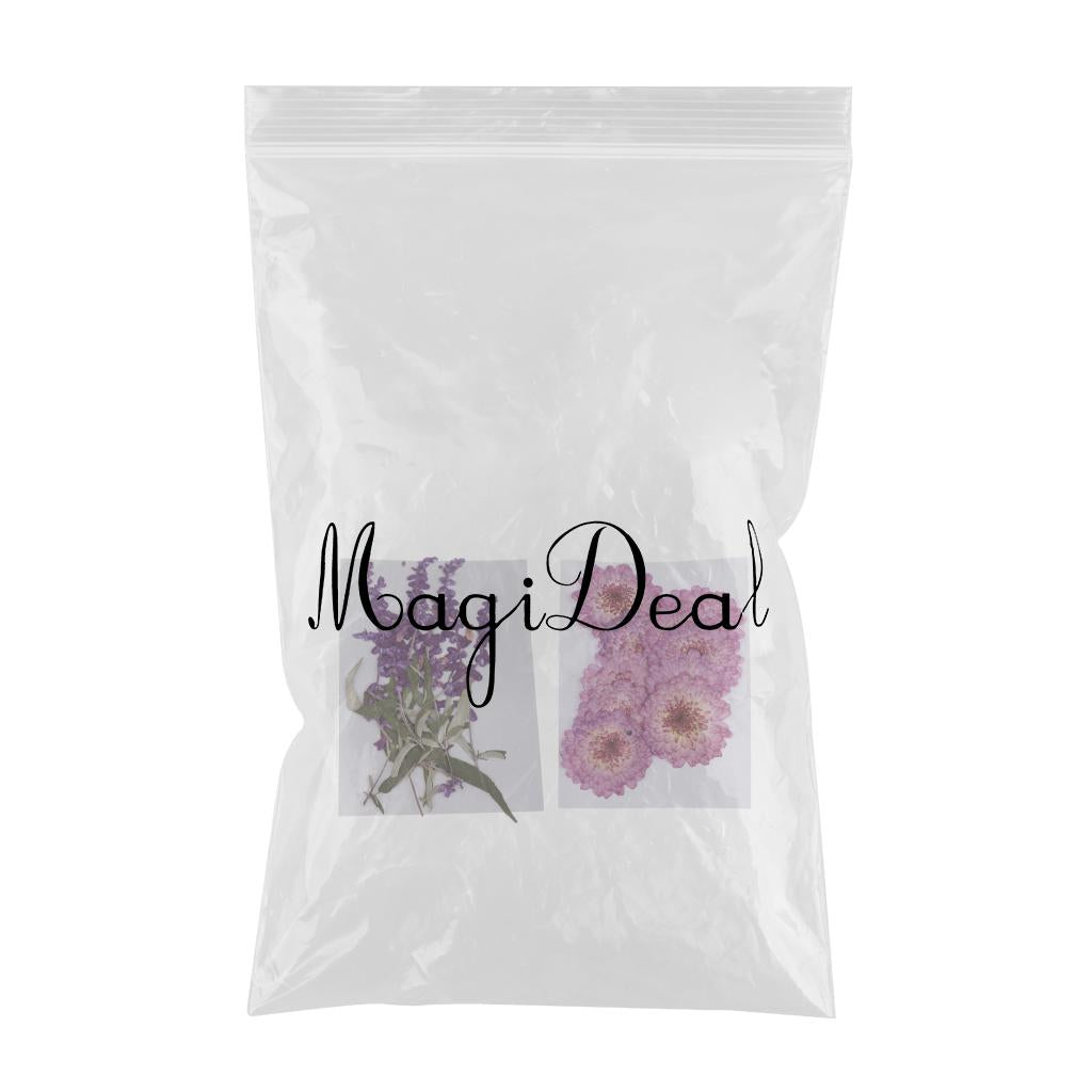 20 Pcs Dried Pressed Flowers for DIY Scrapbooking Crafts Purple Flowers