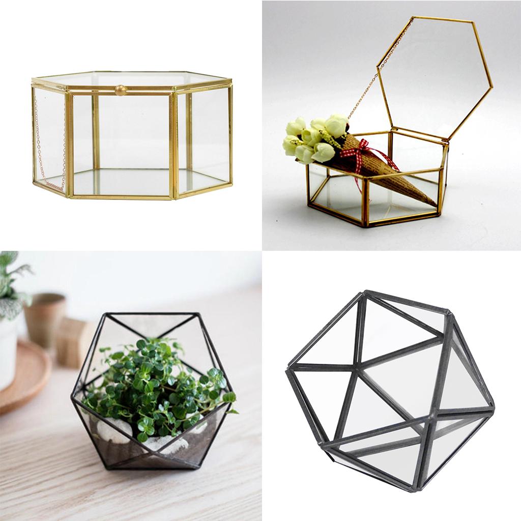 2Pcs Glass Geometric Terrarium Succulent Planter Flower Vase Container