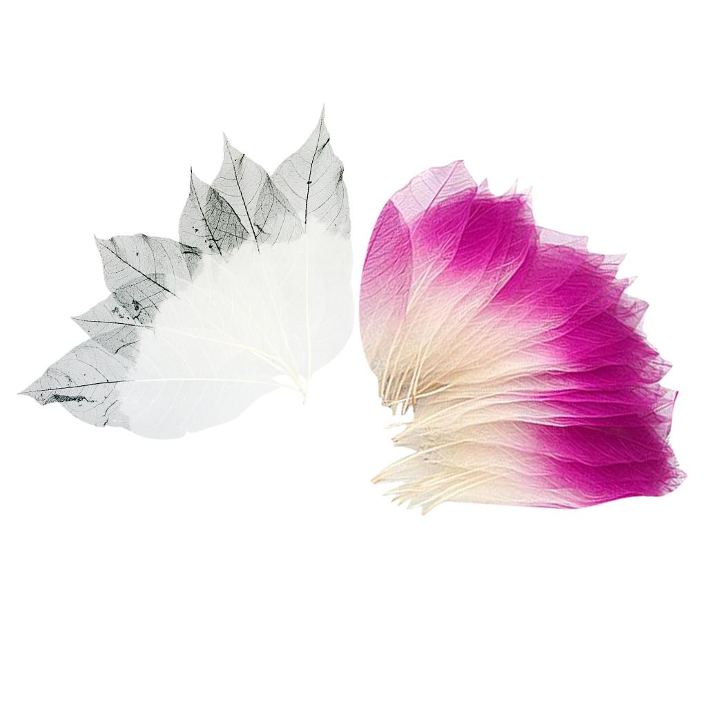 100 Pieces Natural Magnolia Skeleton Leaves Card Scrapbooking Embellishment