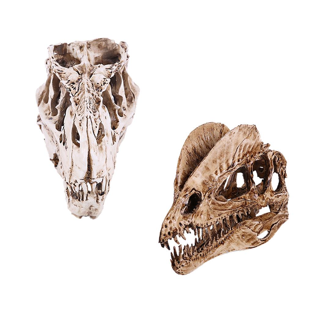 2Pcs Resin Dinosaur Skull Model T-rex And Dilophosaurus Skeleton Figurine