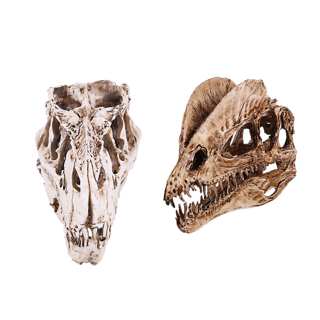 2Pcs Resin Dinosaur Skull Model T-rex And Dilophosaurus Skeleton Figurine