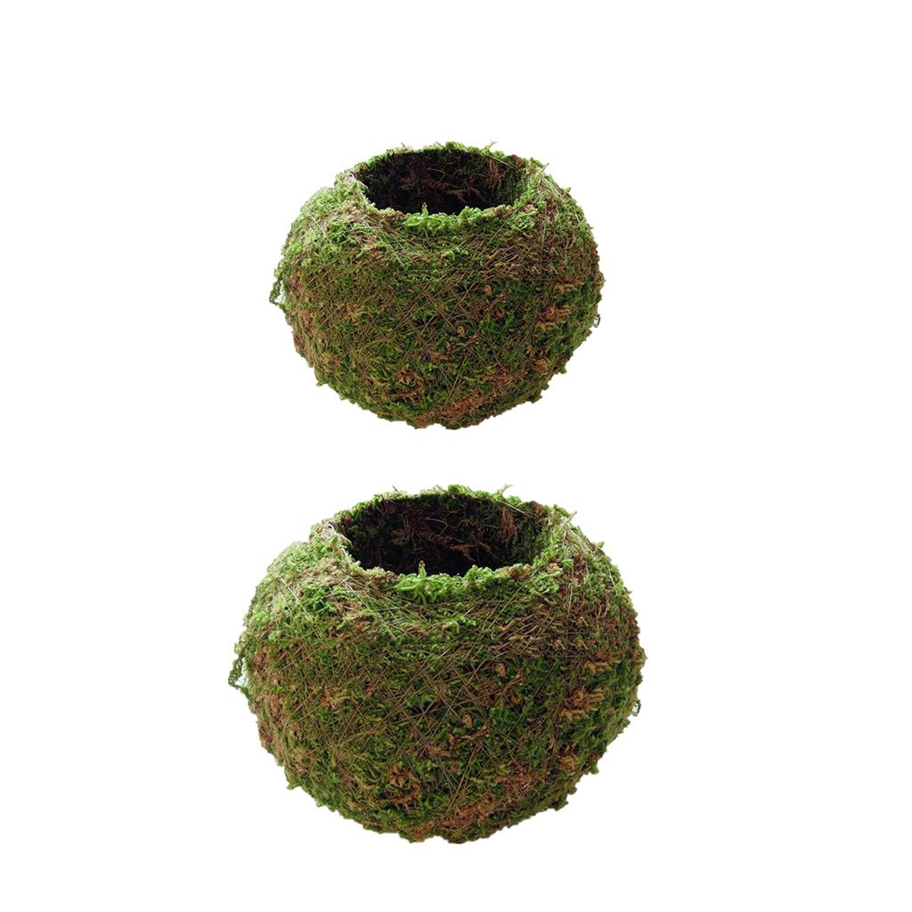 2pcs Creative Moss Ball Flower Pot Planter Bonsai Plant Holder Home Garden