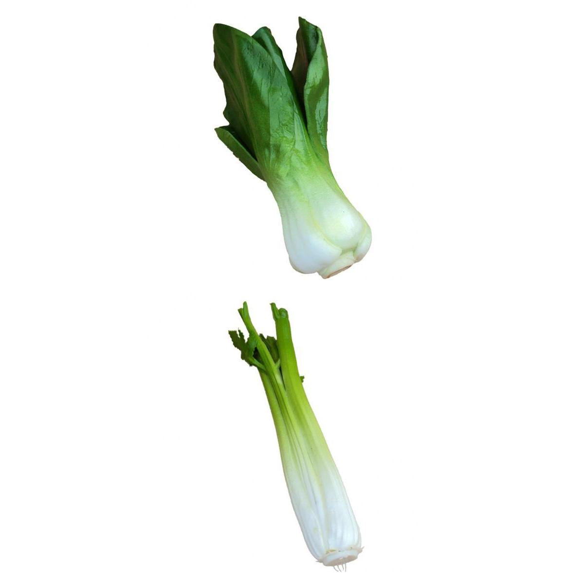 2x Artificial Shanghai Cabbage Imitation Food Store Cabinet Display Decor