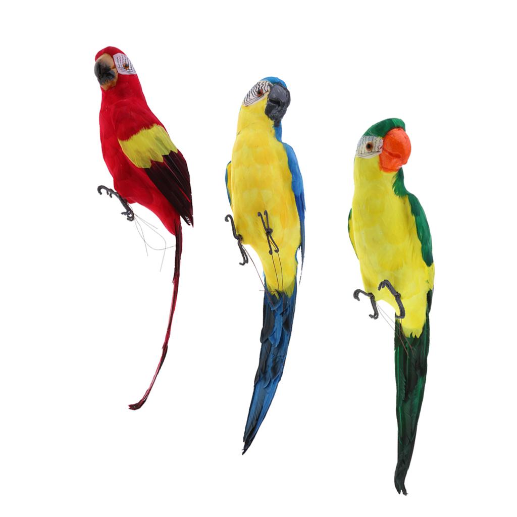 3Pcs Large Artificial Parrot Bird Realistic Home Decor Budgie Taxidermy Set