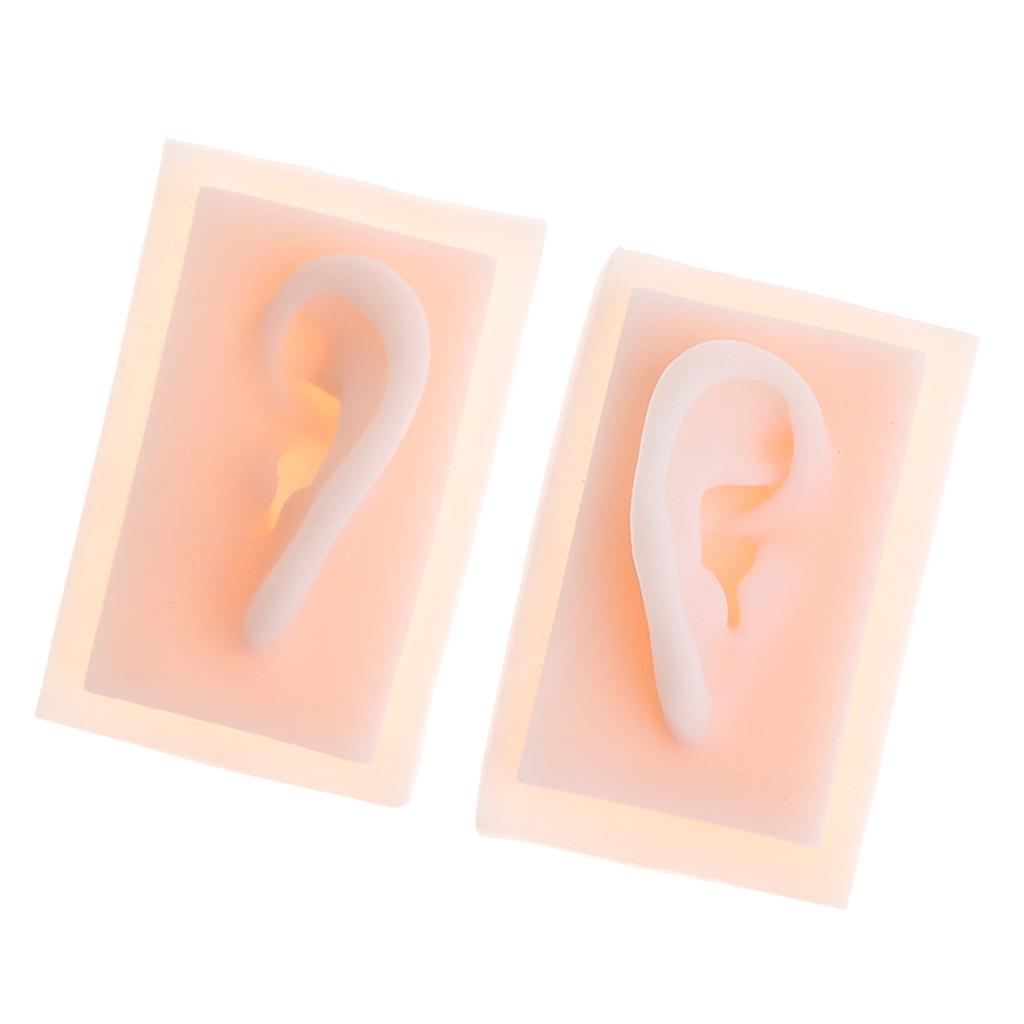1 Pair 1:1 Lifesize Silicone Human Acupuncture Ear Model Study Kit