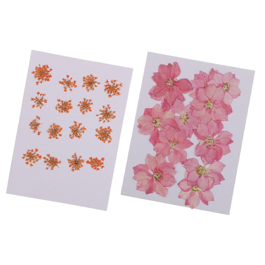 28 Pieces Dried Pressed Flowers DIY Embossed Photo Frame Phone Case Material