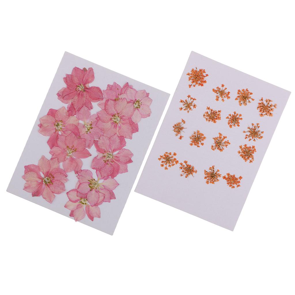 28 Pieces Dried Pressed Flowers DIY Embossed Photo Frame Phone Case Material