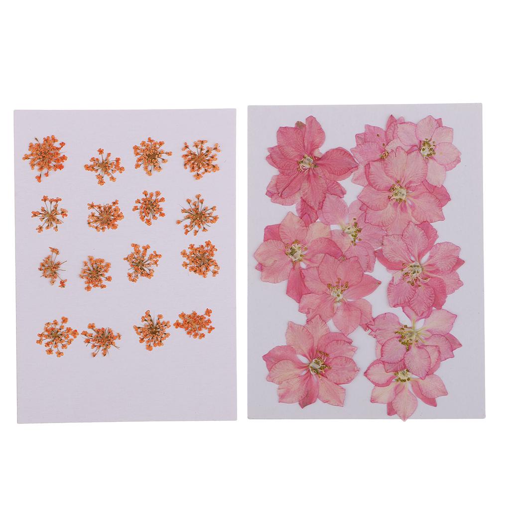 28 Pieces Dried Pressed Flowers DIY Embossed Photo Frame Phone Case Material