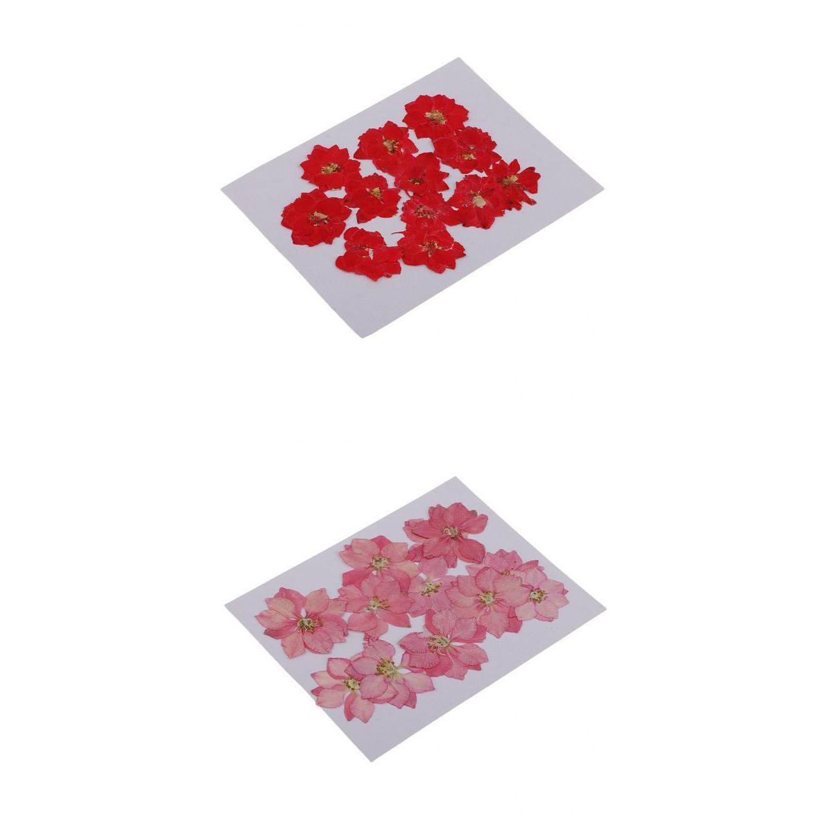 24Pcs Real Pressed Flowers Dried Larkspur DIY Crafts Decoration Red and Pink