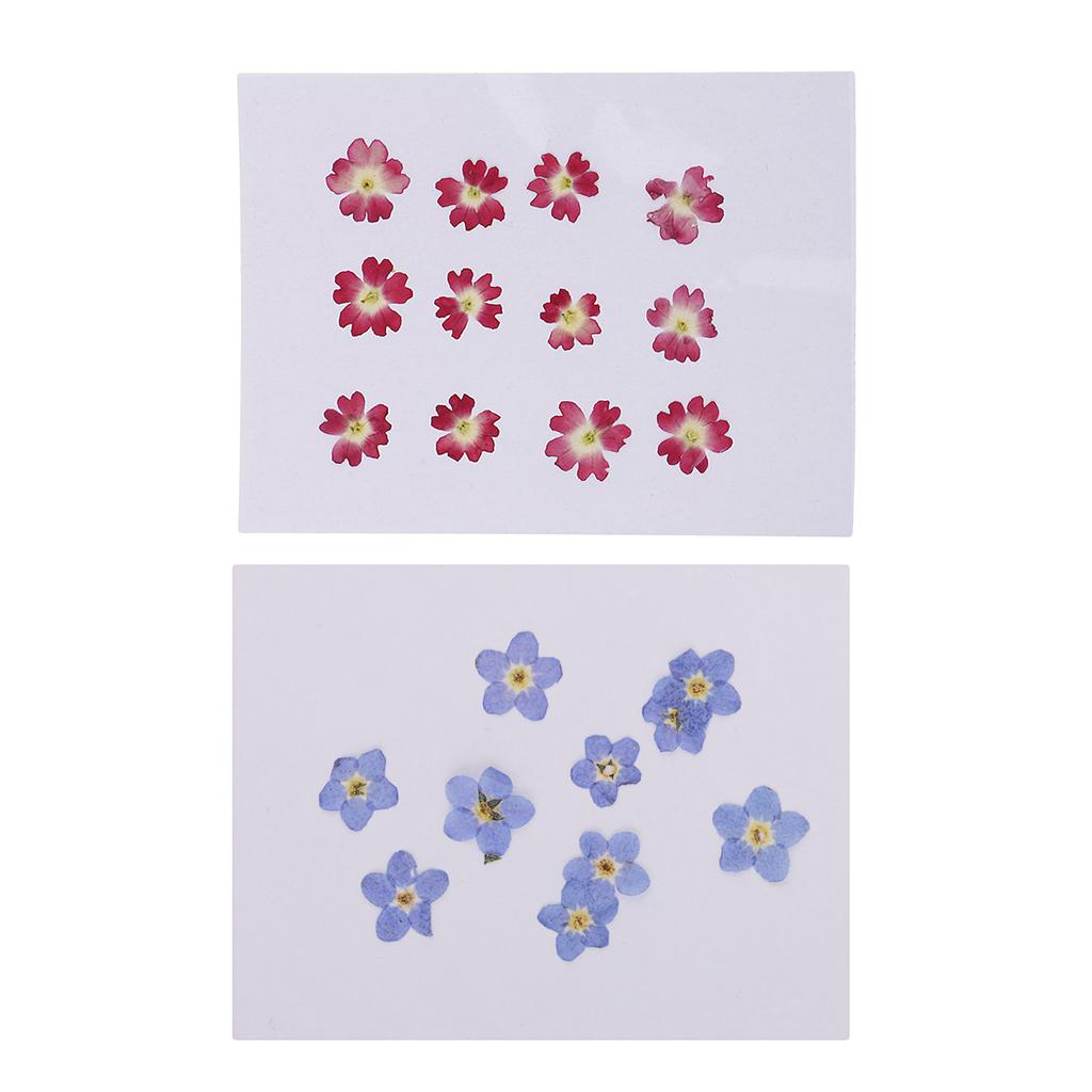 22 Pieces Forget-me-not Verbena Real Pressed Dried Flowers for Nail Art