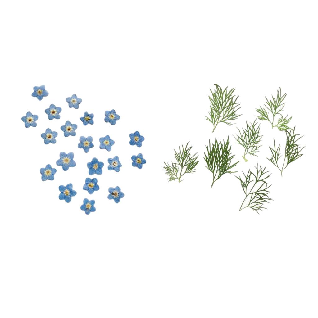 20x Pressed Dried Flower Dry Leaves for DIY Crafts Bookmark Cards Making