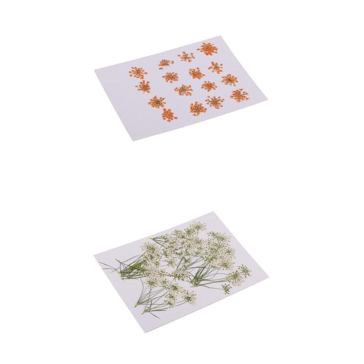 16x None Branch +10 Pcs Branched Pressed Dried Flowers DIY Embossed Flower