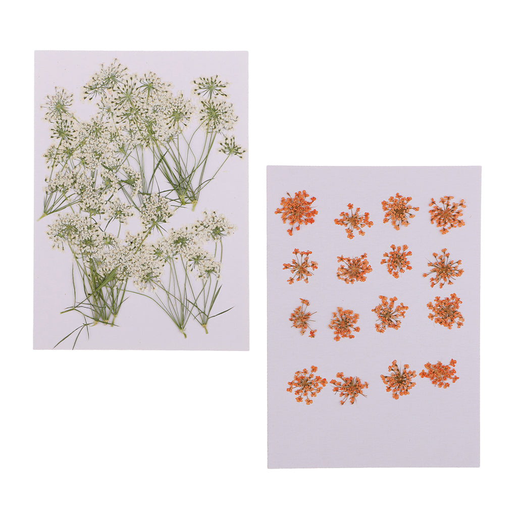 16x None Branch +10 Pcs Branched Pressed Dried Flowers DIY Embossed Flower