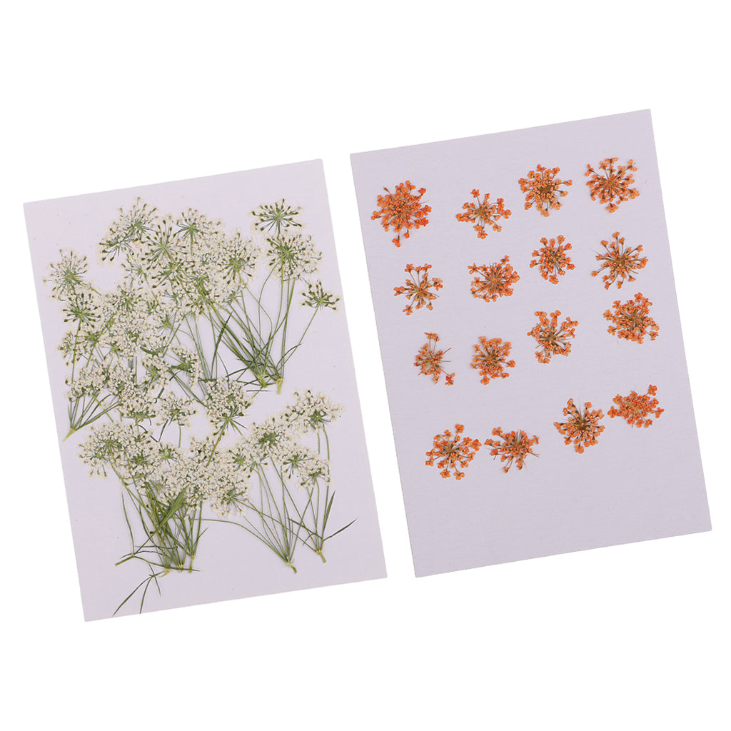 16x None Branch +10 Pcs Branched Pressed Dried Flowers DIY Embossed Flower