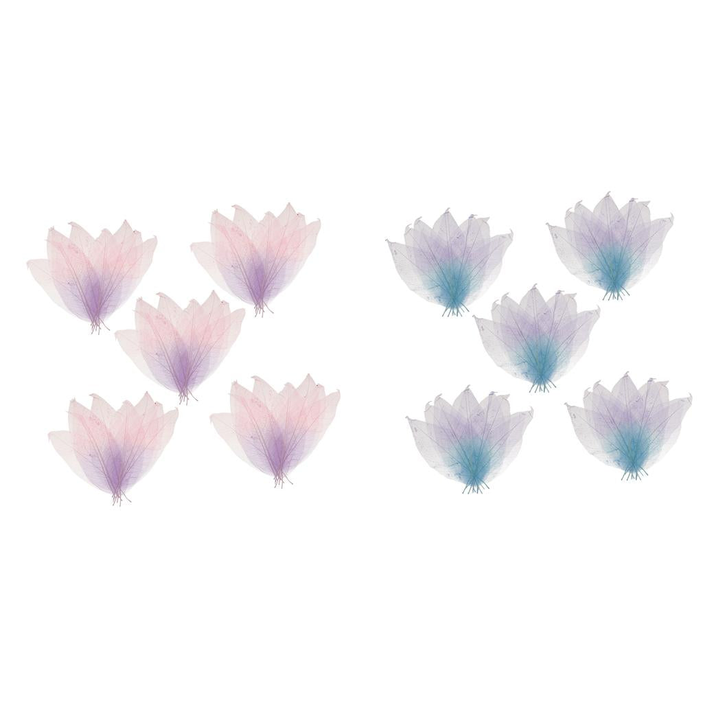 100x Natural Magnolia Skeleton Leaf DIY Crafts Leaves Decors Mixed Color