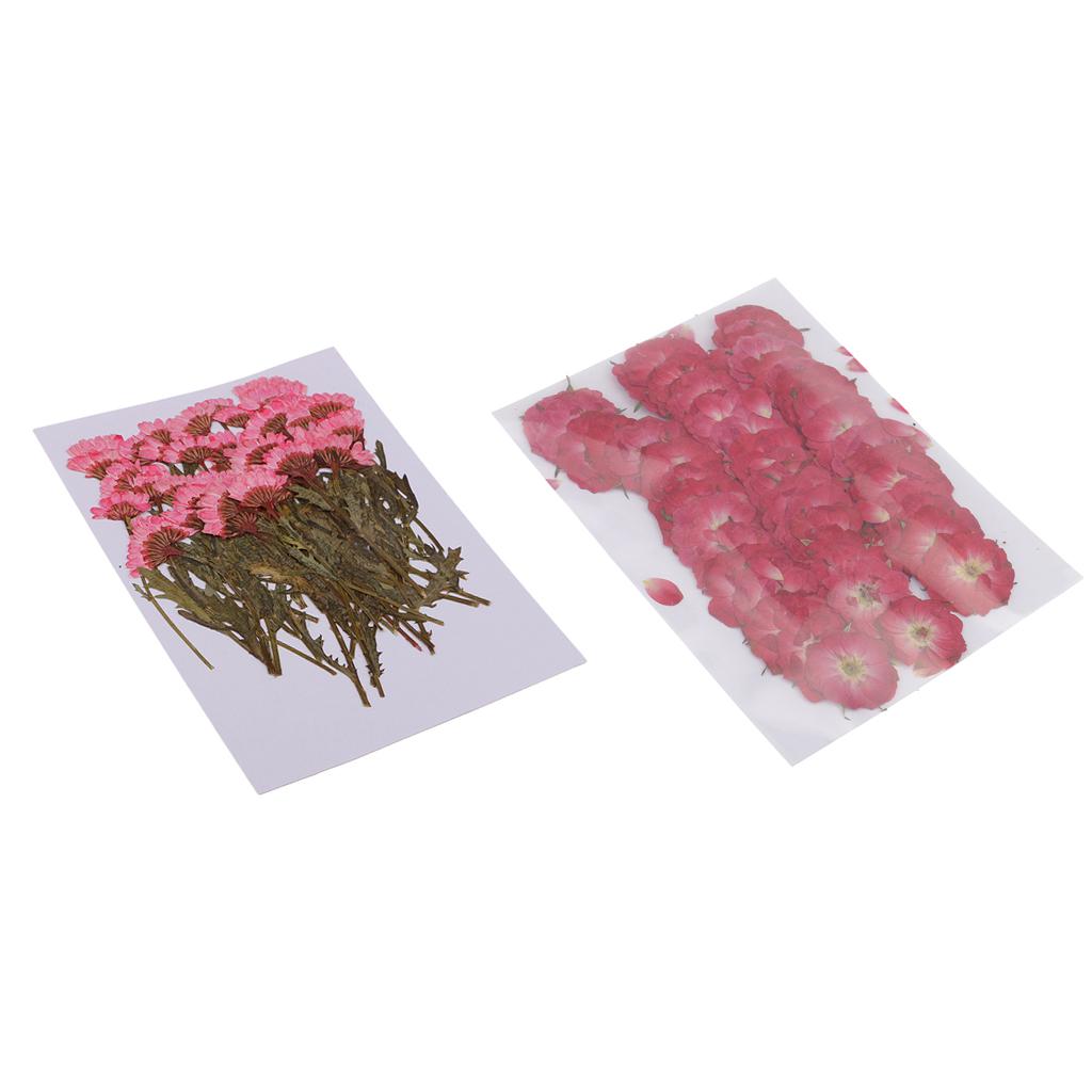 50x None Branch +50 Pcs Branched Pressed Dried Flowers DIY Embossed Flowers
