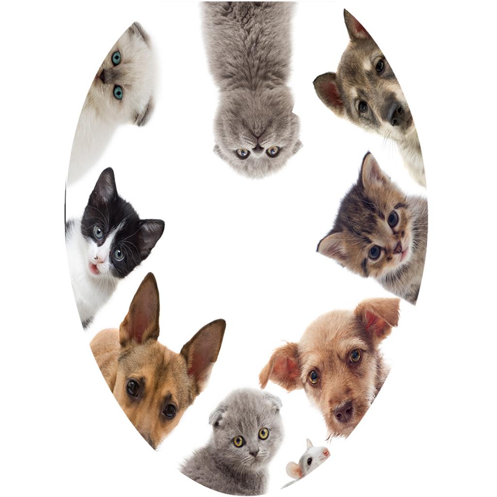 2x Creative 3D Toilet Stickers Bathroom Decorative Decals Climb Wall Cat