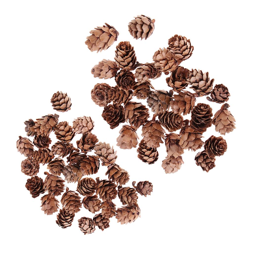 60 Pieces Mixed Natural Pine Cones Dried Table Ornament Home Decoration DIY