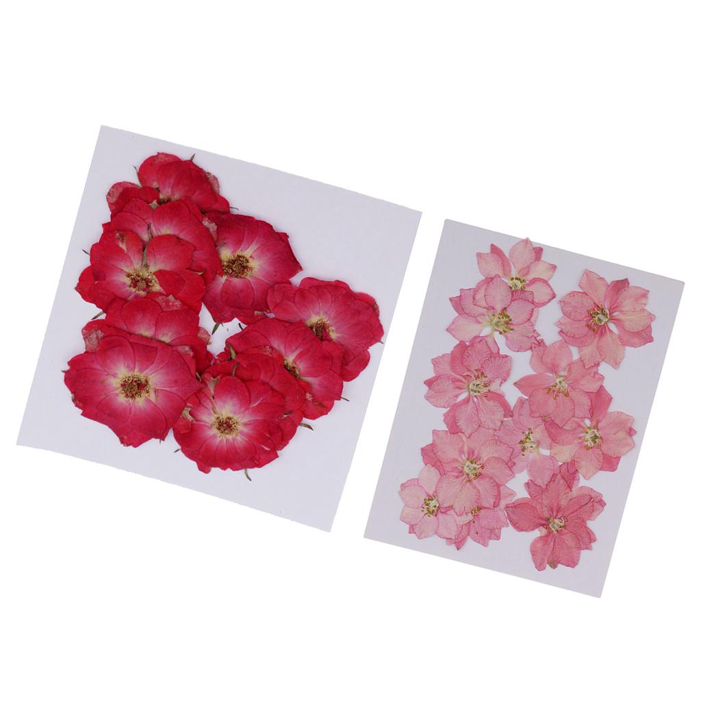 22 Pieces Natural Delphinium Rose Real Pressed Dried Flowers for DIY Craft