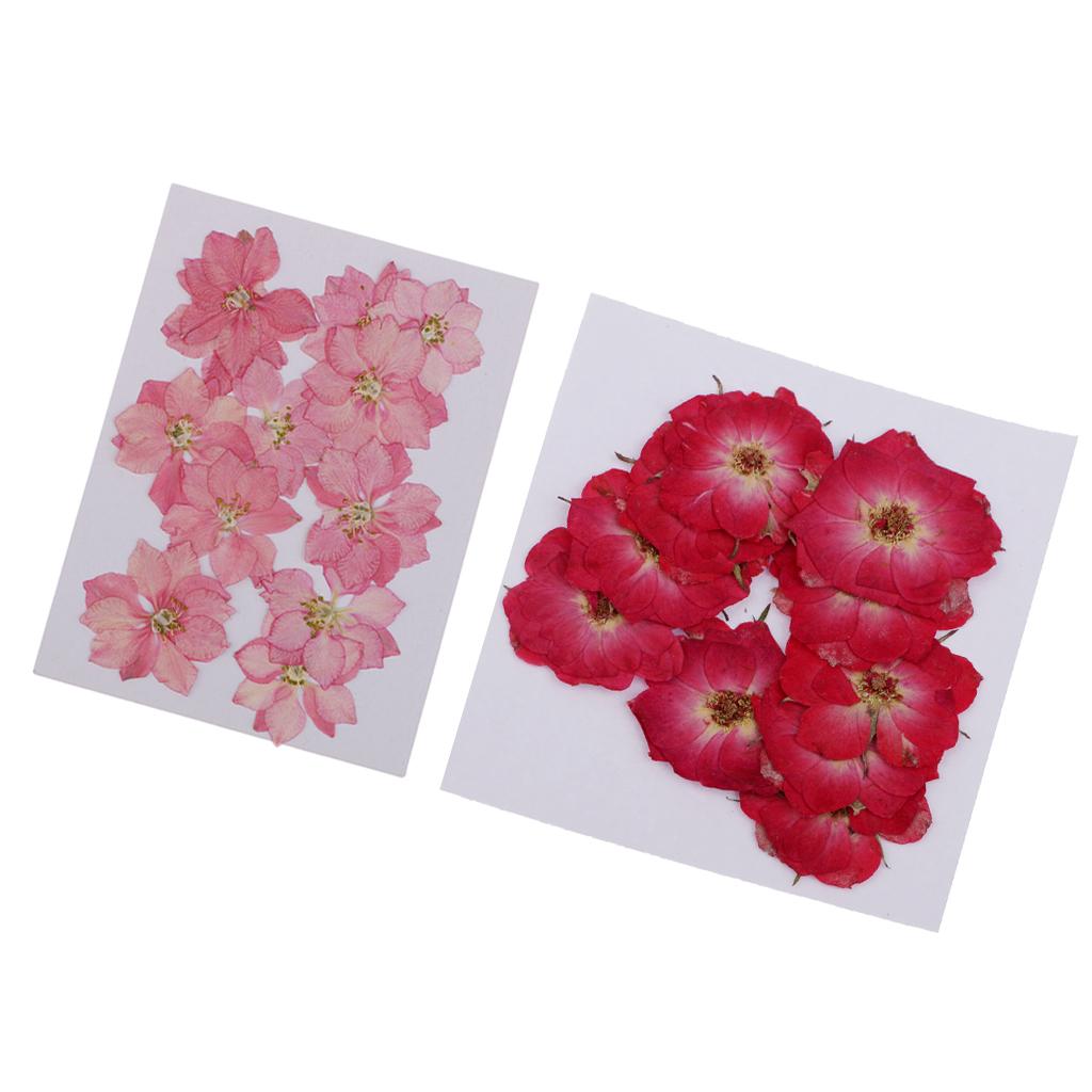 22 Pieces Natural Delphinium Rose Real Pressed Dried Flowers for DIY Craft