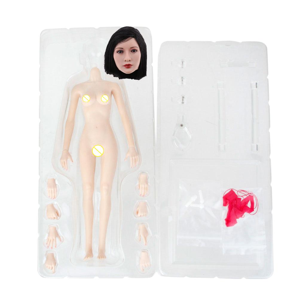 1/6 Scale Seamless Small Busts Female Body+Head Sculpture for 12'' PH Figure
