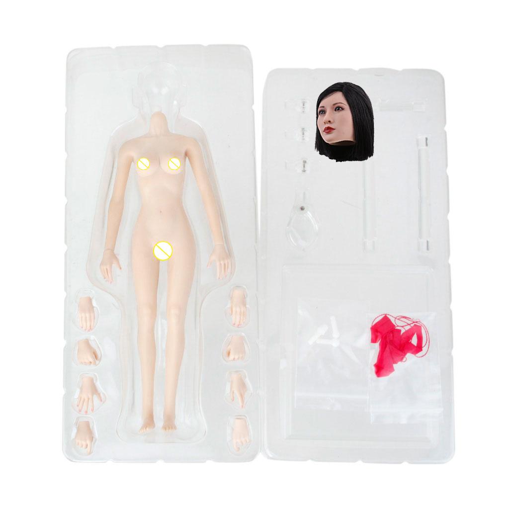 1/6 Scale Seamless Small Busts Female Body+Head Sculpture for 12'' PH Figure