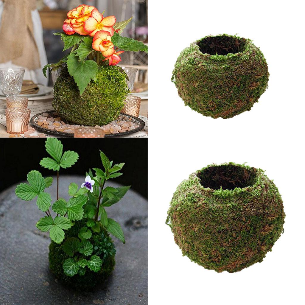 2 x Creative Moss Ball Flower Pot Planter Bonsai Plant Holder Garden Decor