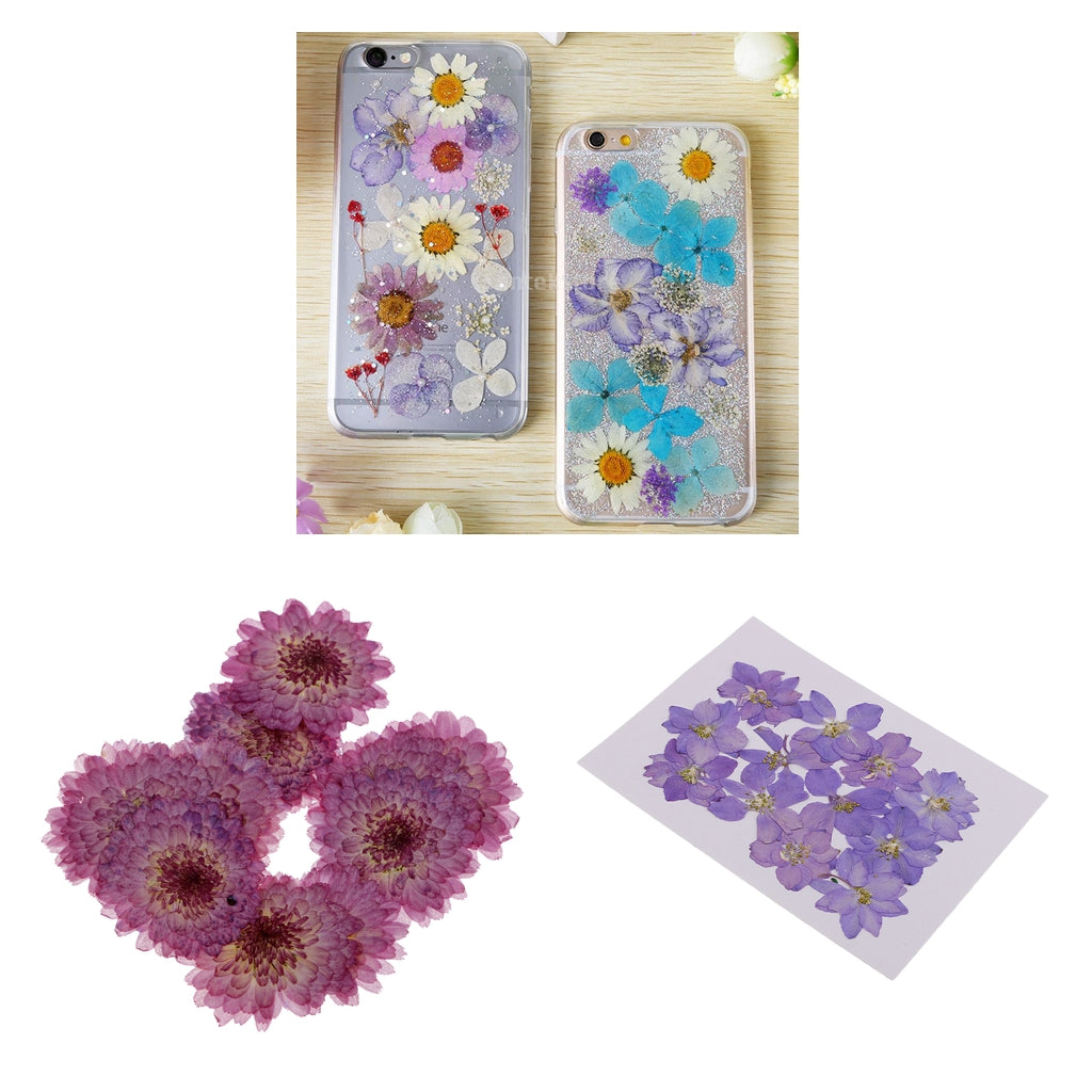 22 Natural Real Pressed Dried Flowers Daisy&Larkspur DIY Scrapbooking Crafts