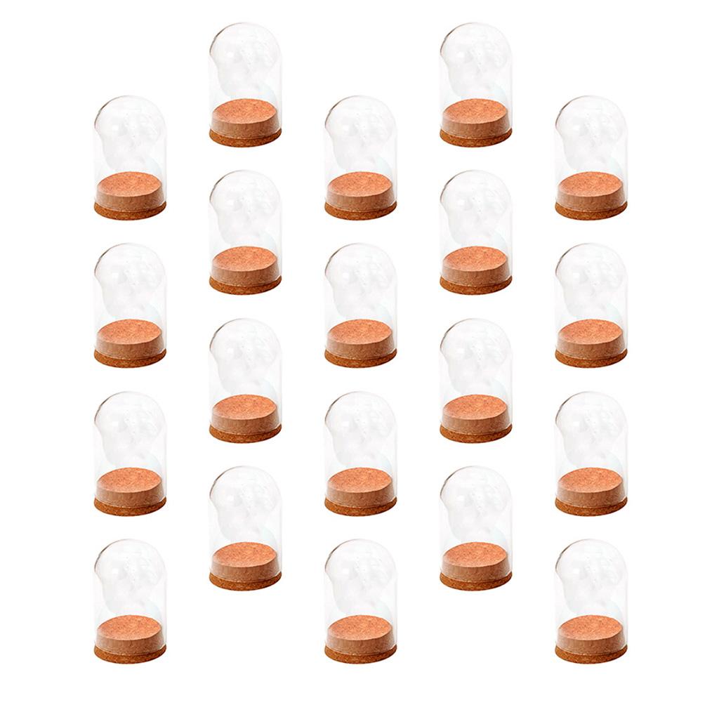 20x Mini Clear Glass Hemisphere Cover Dome with Wood Cork Table Decor Craft