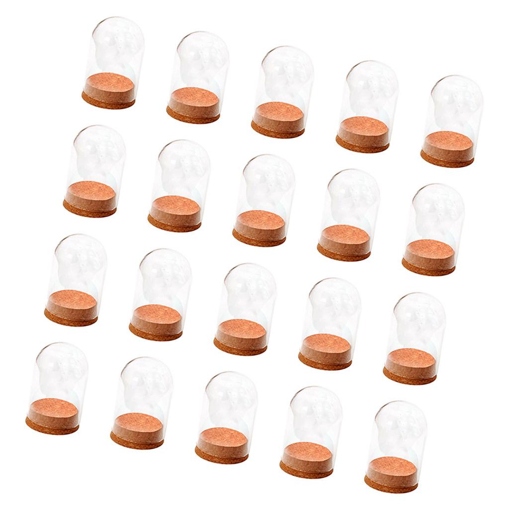 20x Mini Clear Glass Hemisphere Cover Dome with Wood Cork Table Decor Craft