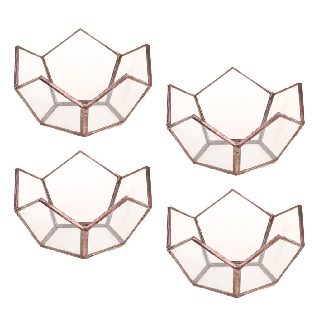 4 Piece Open Clear Glass Geometric Terrarium Table Succulent Plant Container