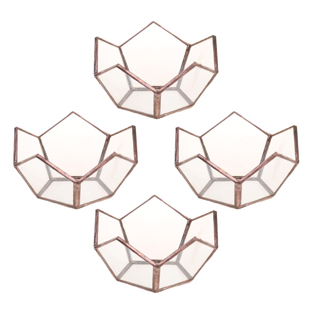 4 Piece Open Clear Glass Geometric Terrarium Table Succulent Plant Container