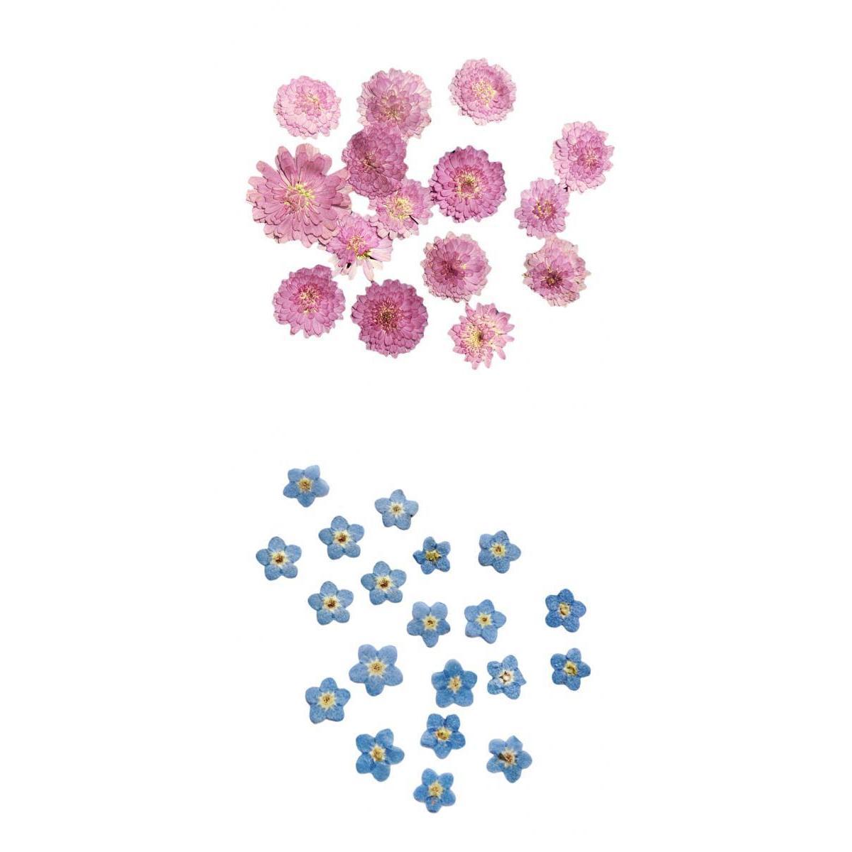 20Pcs Pressed Dried Flower Dry Leaves for DIY Crafts Bookmark Cards Making
