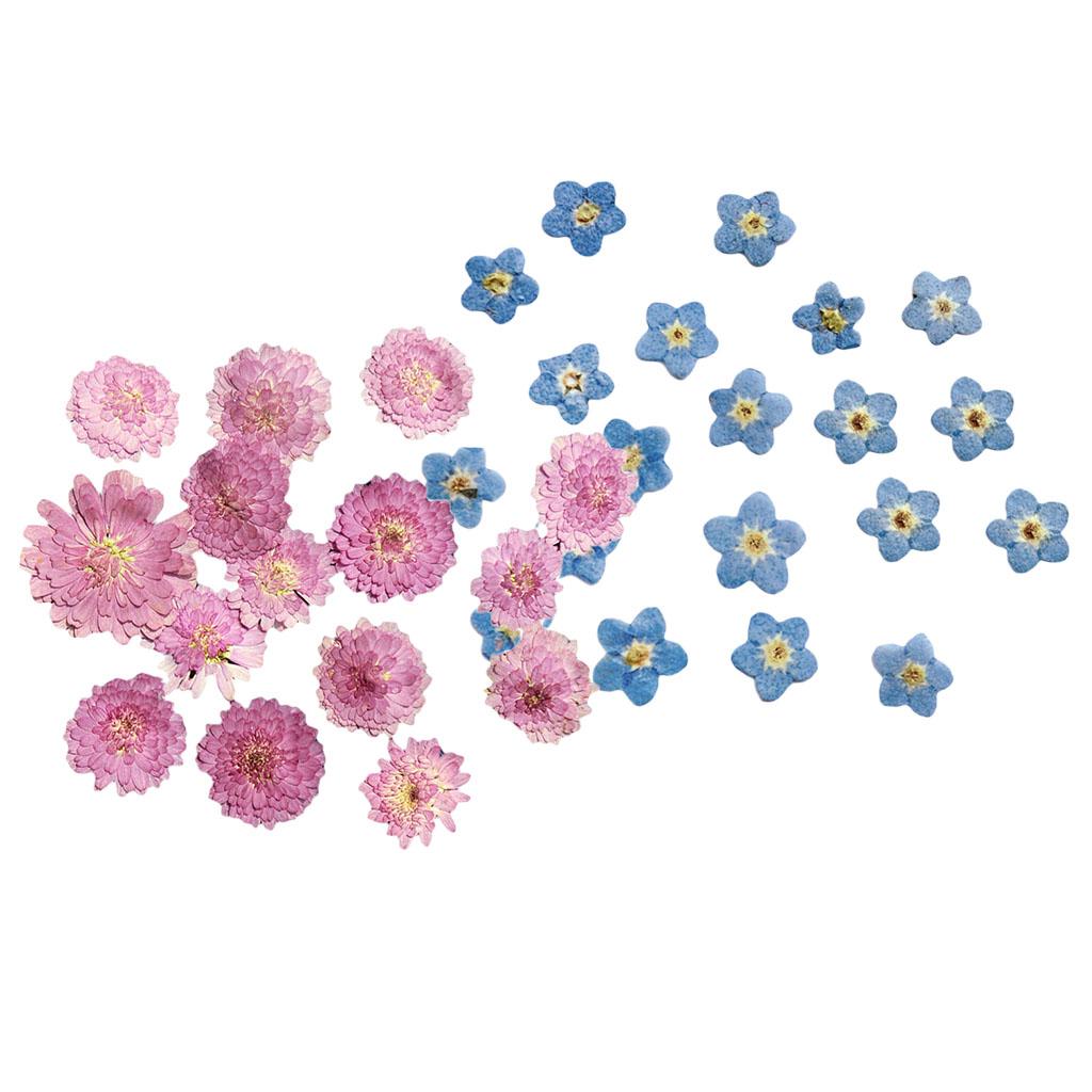 20Pcs Pressed Dried Flower Dry Leaves for DIY Crafts Bookmark Cards Making