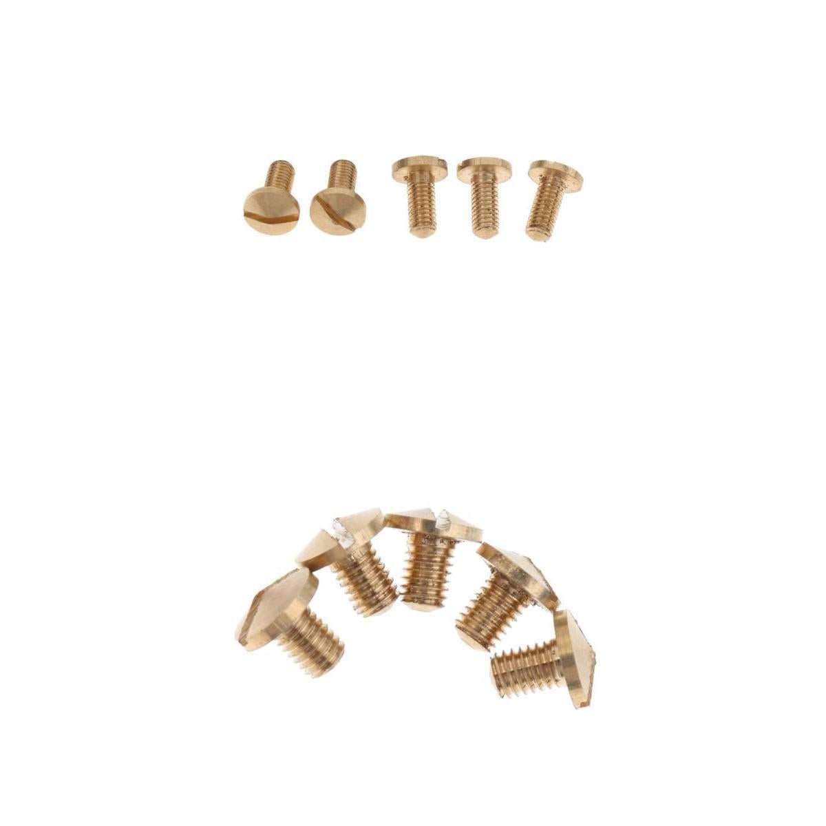 10 Pieces Saxophone Screws for Alto Tenor Soprano Sax Repair Parts 6/9mm