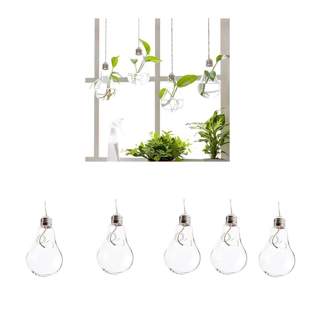 5Pcs Clear Glass Bulb Hanging Plant Flower Vase Hydroponic Container Bottle
