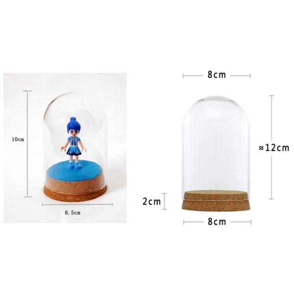8x12&6.5x10cm Glass Cover Landscape Terrarium Container Lid Vase Bottle