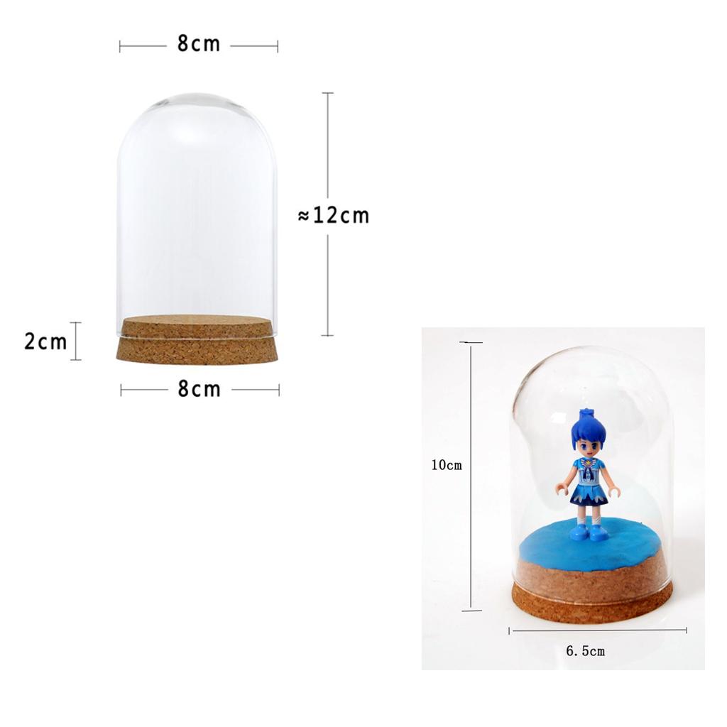 8x18&6.5x10cm Glass Cover Landscape Terrarium Container Lid Vase Bottle