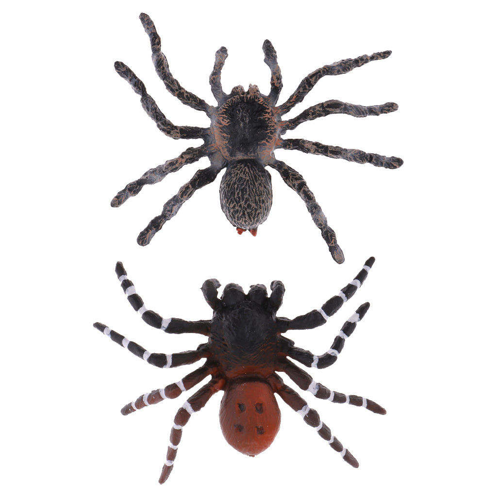 2x Realistic Animal Model Figure Figurine Toy Home Decor Brazilian Spider