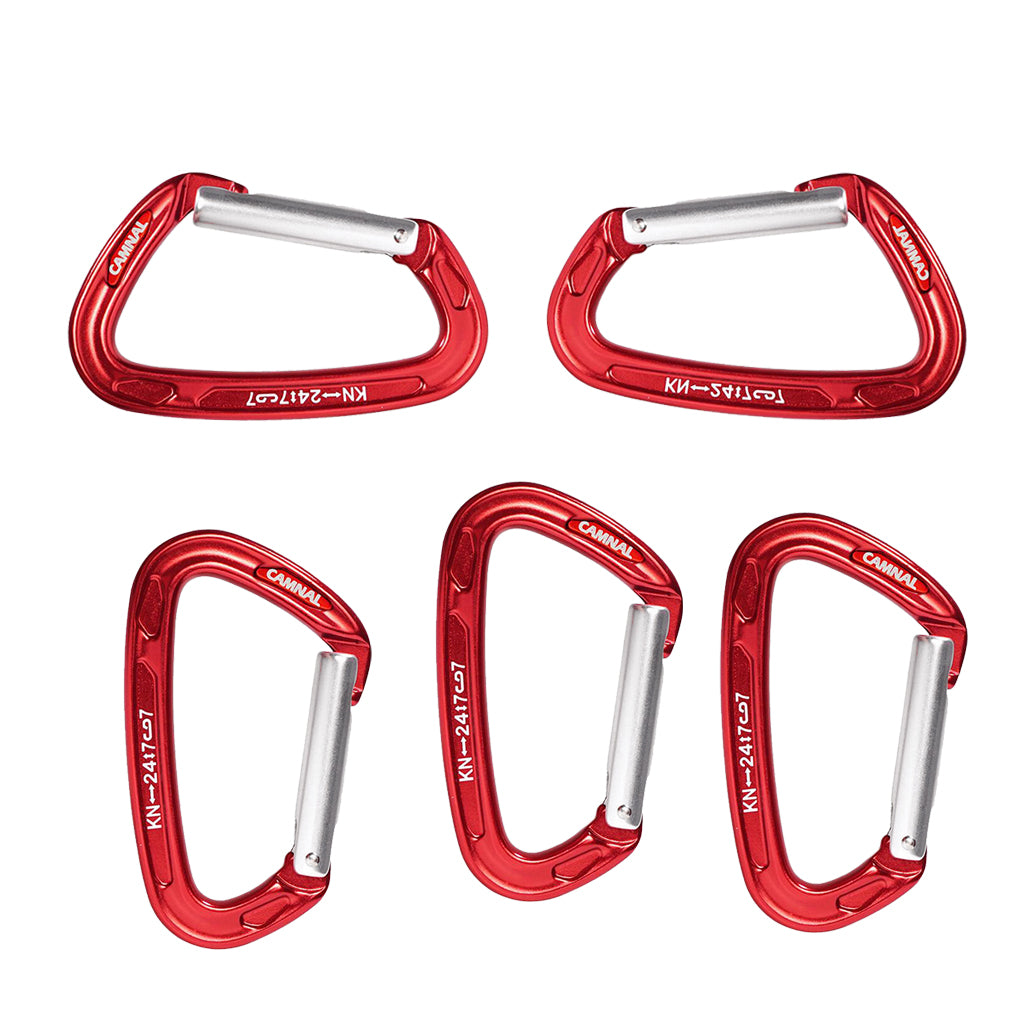 5Pcs Carabiner D-Ring Snap Clip Hook Buckle Keychain Keyring Hiking Climbing