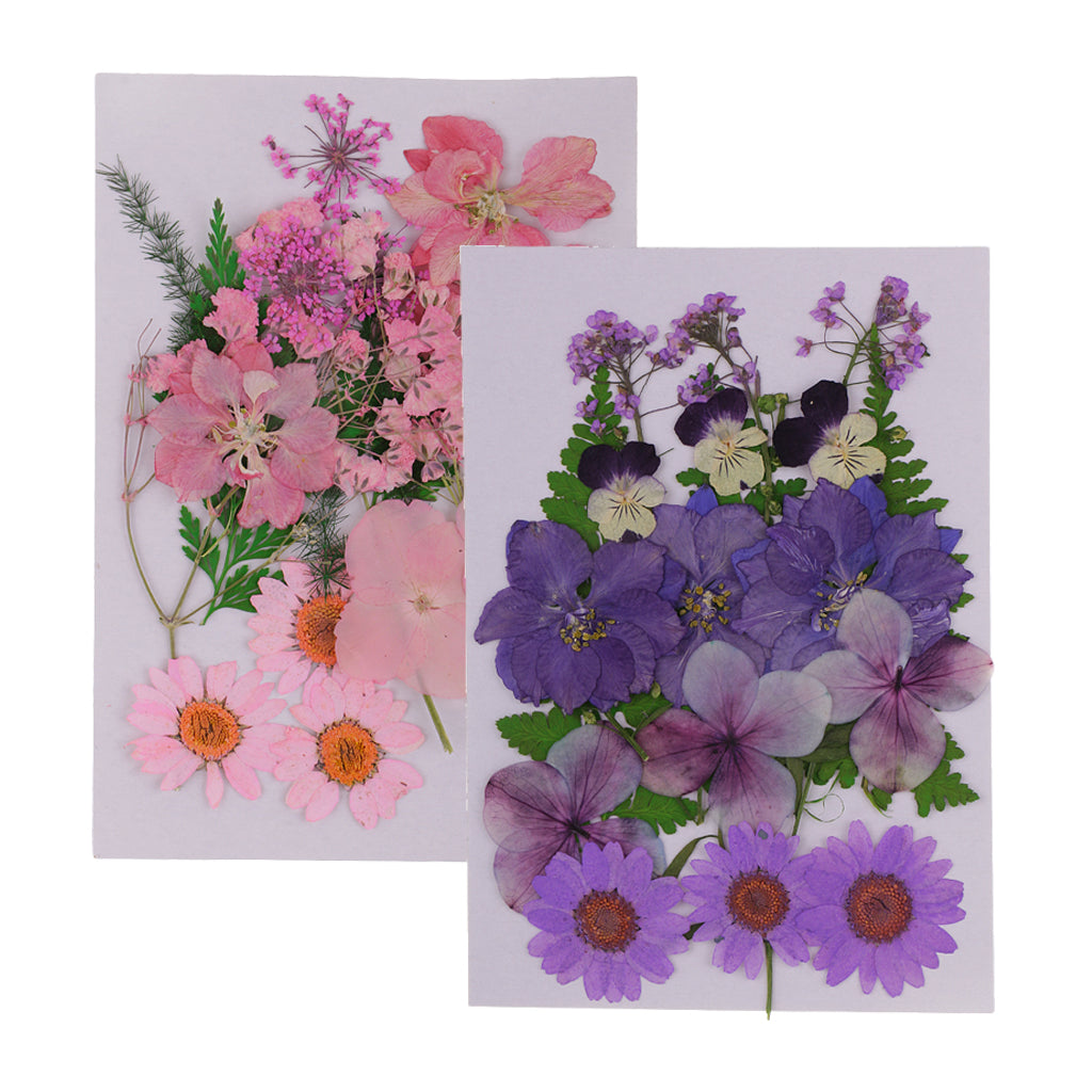 2Pcs Multiple Natural Pressed Dried Flowers Leaves DIY Art Craft Decorations