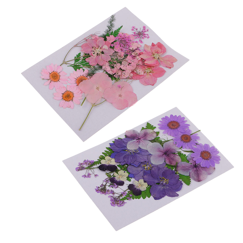 2Pcs Multiple Natural Pressed Dried Flowers Leaves DIY Art Craft Decorations