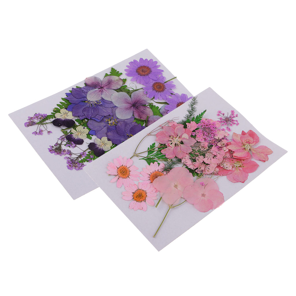 2Pcs Multiple Natural Pressed Dried Flowers Leaves DIY Art Craft Decorations