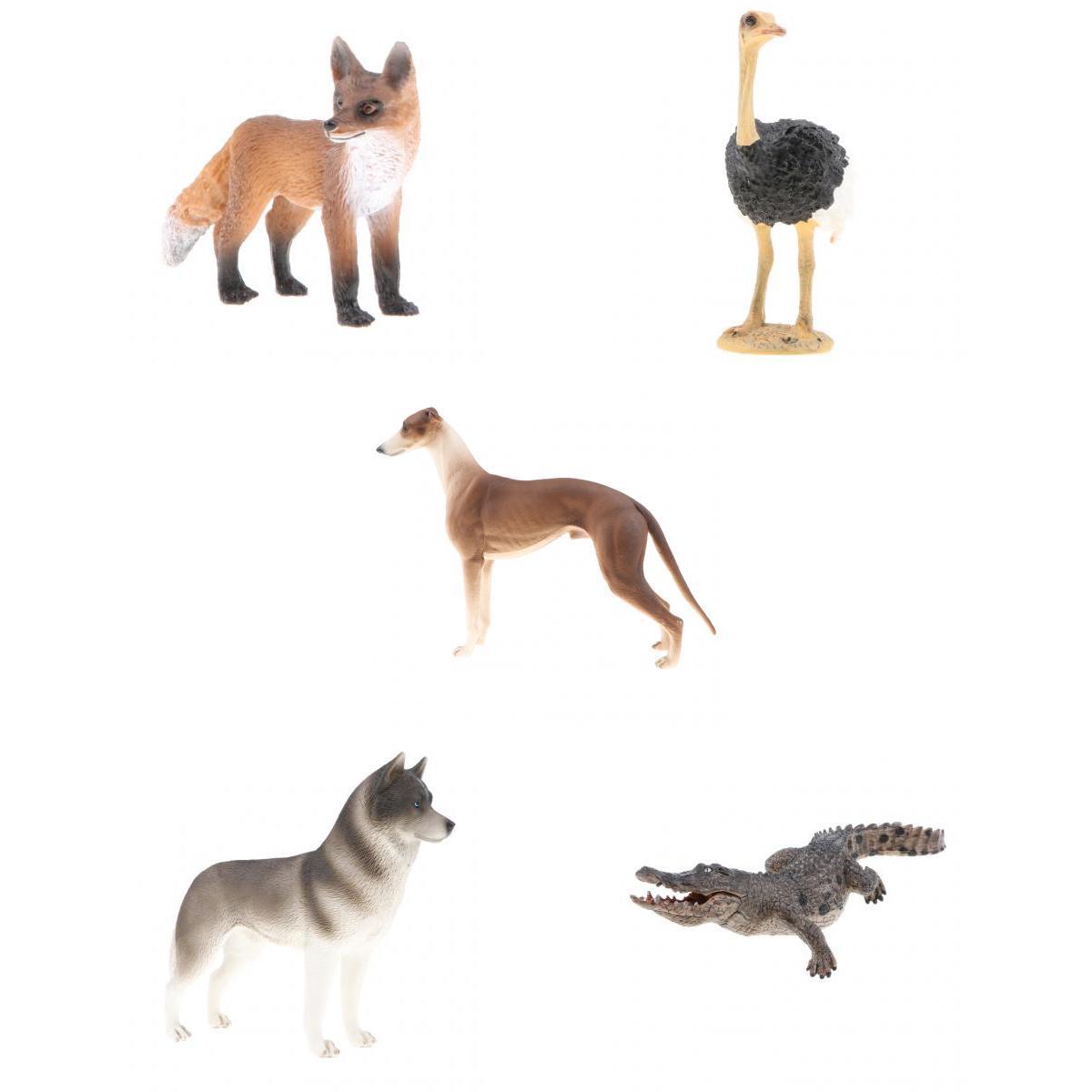 5 Pieces Realistic Animal Model Figurine Action Figures Kids Playset Toy 01