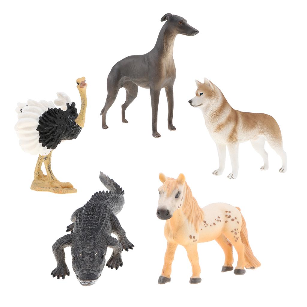 5 Pieces Realistic Animal Model Figurine Action Figures Kids Playset Toy 02