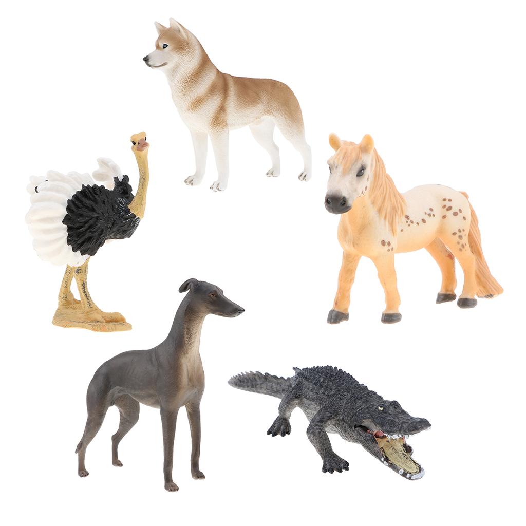 5 Pieces Realistic Animal Model Figurine Action Figures Kids Playset Toy 02